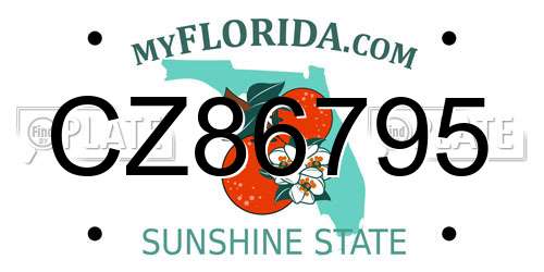 CZ86795 Florida License Plate