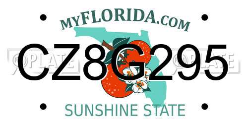 CZ8G295 Florida License Plate