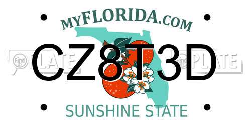 CZ8T3D Florida License Plate