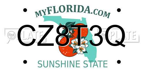CZ8T3Q Florida License Plate