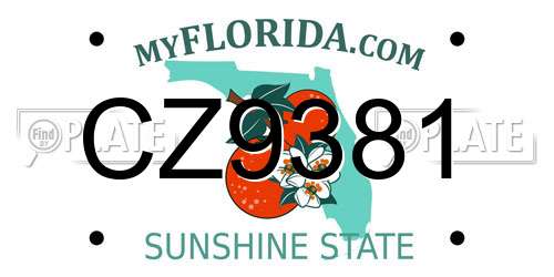 CZ9381 Florida License Plate