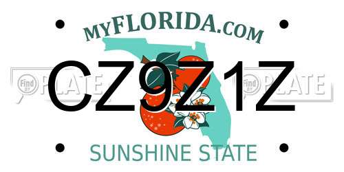 CZ9Z1Z Florida License Plate