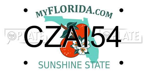CZAI54 Florida License Plate