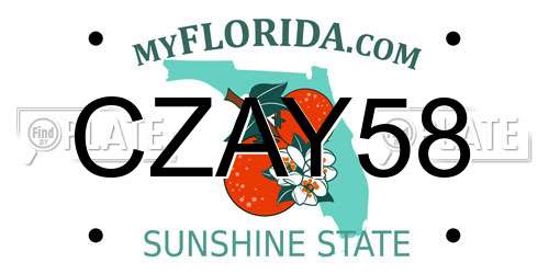 CZAY58 Florida License Plate