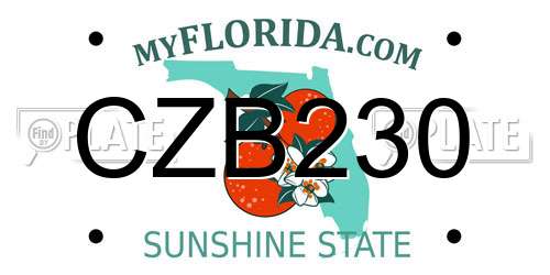 CZB230 Florida License Plate