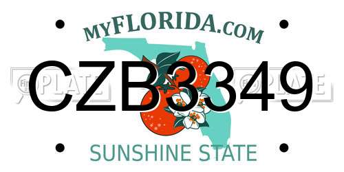 CZB3349 Florida License Plate