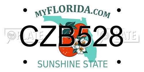 CZB528 Florida License Plate