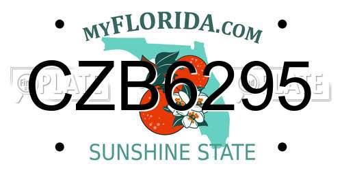 CZB6295 Florida License Plate