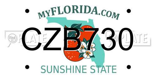 CZB730 Florida License Plate