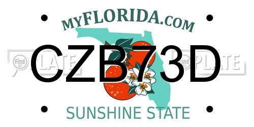 CZB73D Florida License Plate