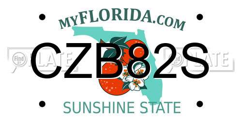 CZB82S Florida License Plate
