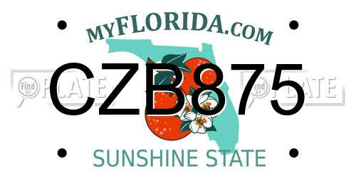 CZB875 Florida License Plate