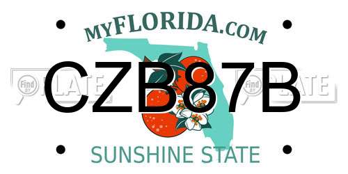 CZB87B Florida License Plate