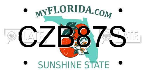 CZB87S Florida License Plate