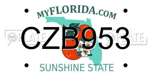 CZB953 Florida License Plate