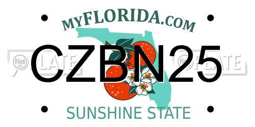 CZBN25 Florida License Plate