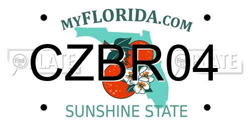 CZBR04 Florida License Plate