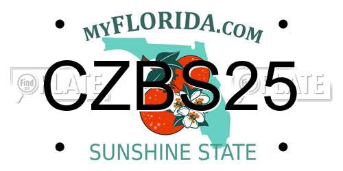 CZBS25 Florida License Plate