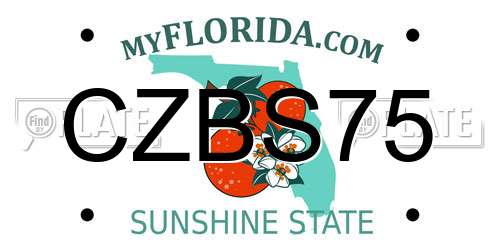 CZBS75 Florida License Plate
