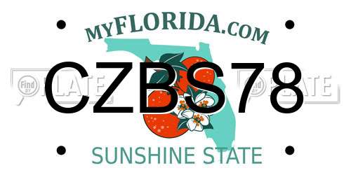 CZBS78 Florida License Plate