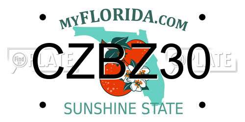 CZBZ30 Florida License Plate