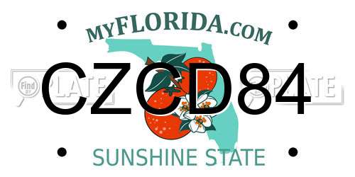 CZCD84 Florida License Plate