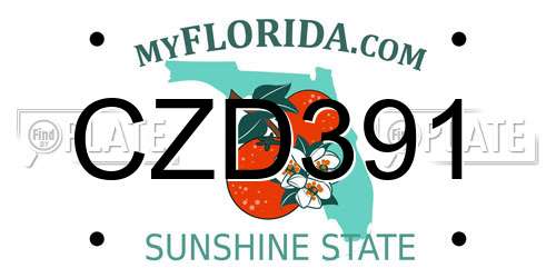 CZD391 Florida License Plate