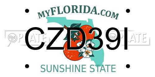 CZD39I Florida License Plate