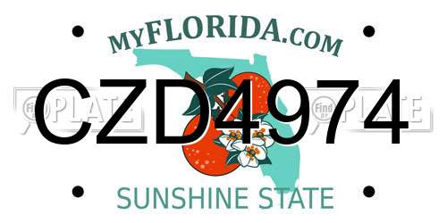 CZD4974 Florida License Plate