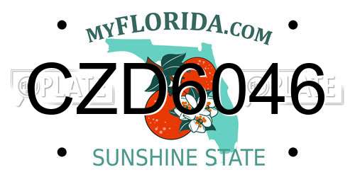 CZD6046 Florida License Plate