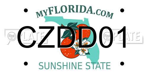 CZDD01 Florida License Plate