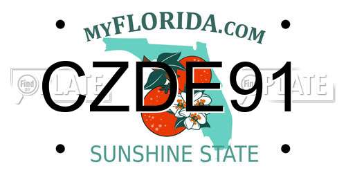 CZDE91 Florida License Plate