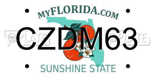 CZDM63 Florida License Plate