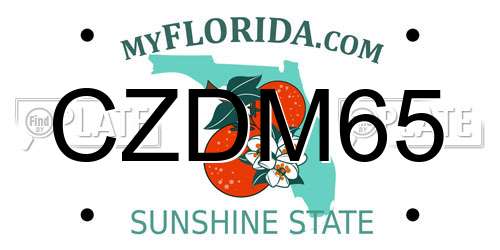 CZDM65 Florida License Plate