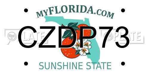 CZDP73 Florida License Plate