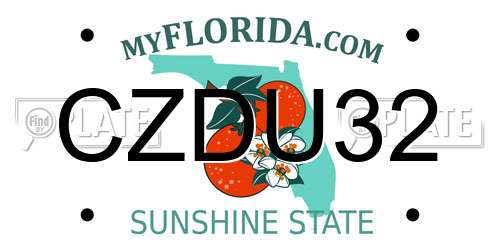 CZDU32 Florida License Plate