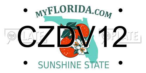 CZDV12 Florida License Plate
