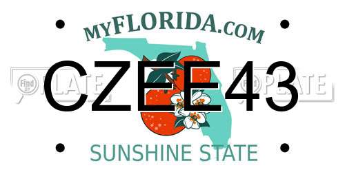 CZEE43 Florida License Plate