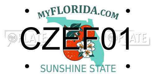 CZEF01 Florida License Plate