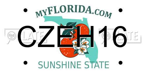 CZEH16 Florida License Plate