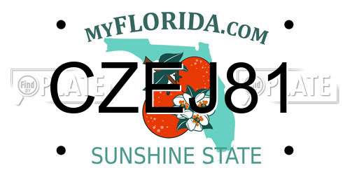 CZEJ81 Florida License Plate