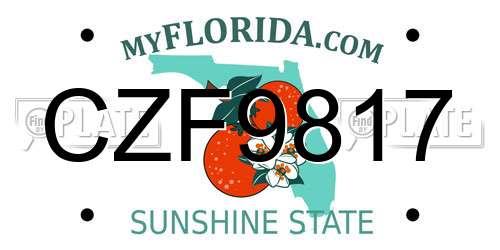 CZF9817 Florida License Plate
