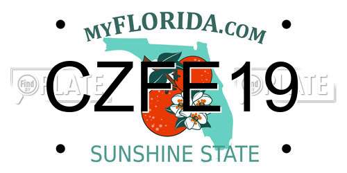 CZFE19 Florida License Plate