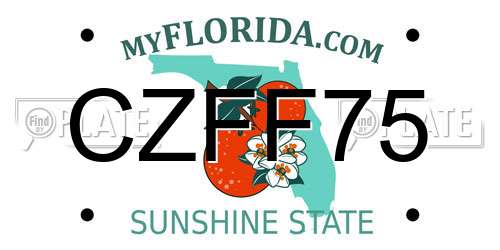 CZFF75 Florida License Plate