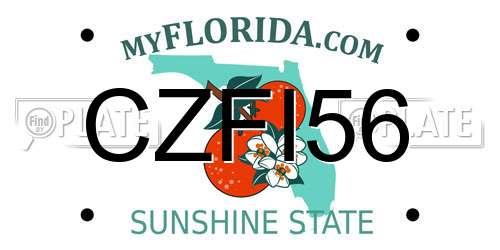 CZFI56 Florida License Plate