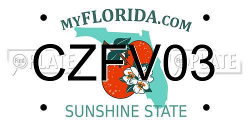 CZFV03 Florida License Plate