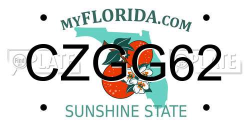 CZGG62 Florida License Plate