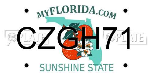 CZGH71 Florida License Plate