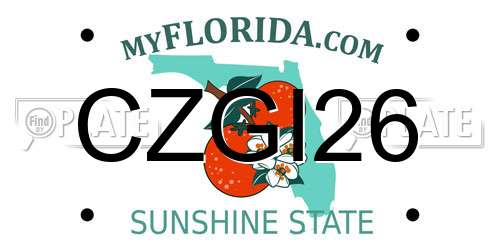 CZGI26 Florida License Plate