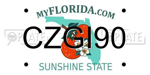 CZGI90 Florida License Plate